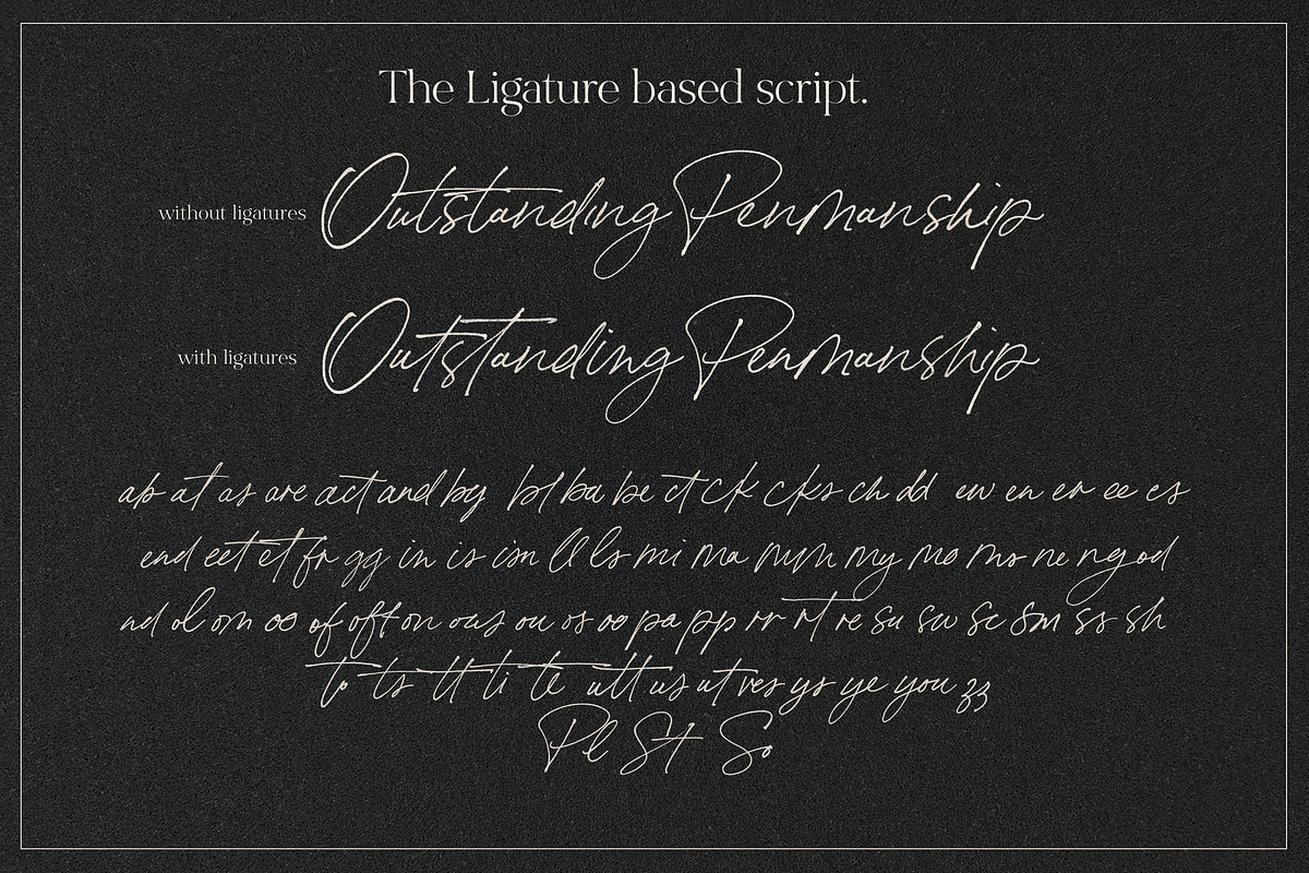 Bon Vivant Collection, a Serif Font by Nicky Laatz (Photo 25 of 44)