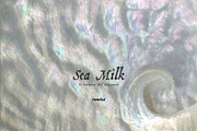 Sea Milk: Sheashell Backgrounds, a Background Graphic by Purple (Thumbnail 5 of 10)
