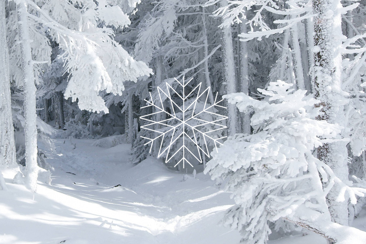 48 unique snowflake icons, an Icon by popcic (Photo 1 of 5)