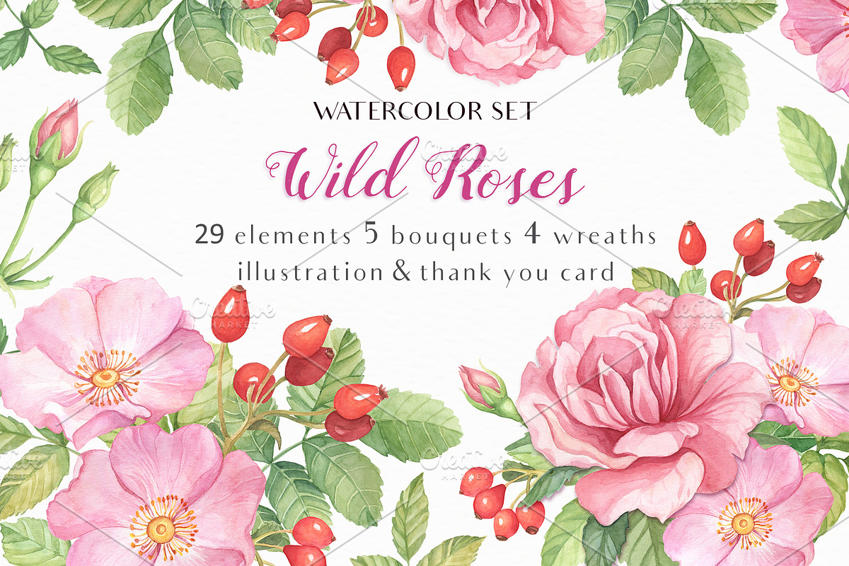 Wild Roses Watercolor Set, a Decorative Illustration by Irina Diasli (Photo 1 of 9)