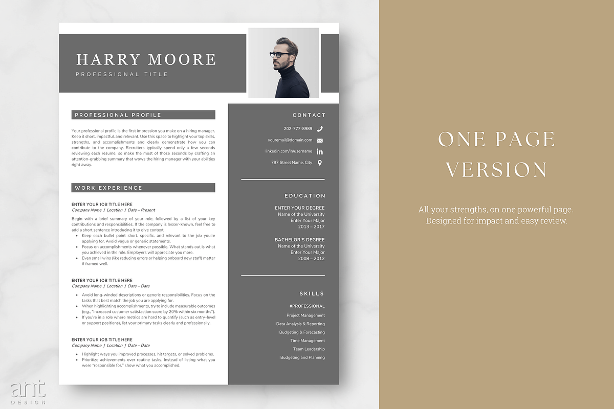 Modern Resume Template - Harry preview 2