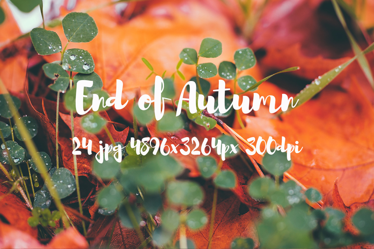 End of Autumn photo pack, a Templates & Theme by ApertureVintage (Photo 12 of 14)