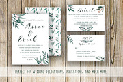 Elegant Watercolor Eucalyptus Leaves, a Texture Illustration by MaraquelaStudio (Thumbnail 7 of 9)