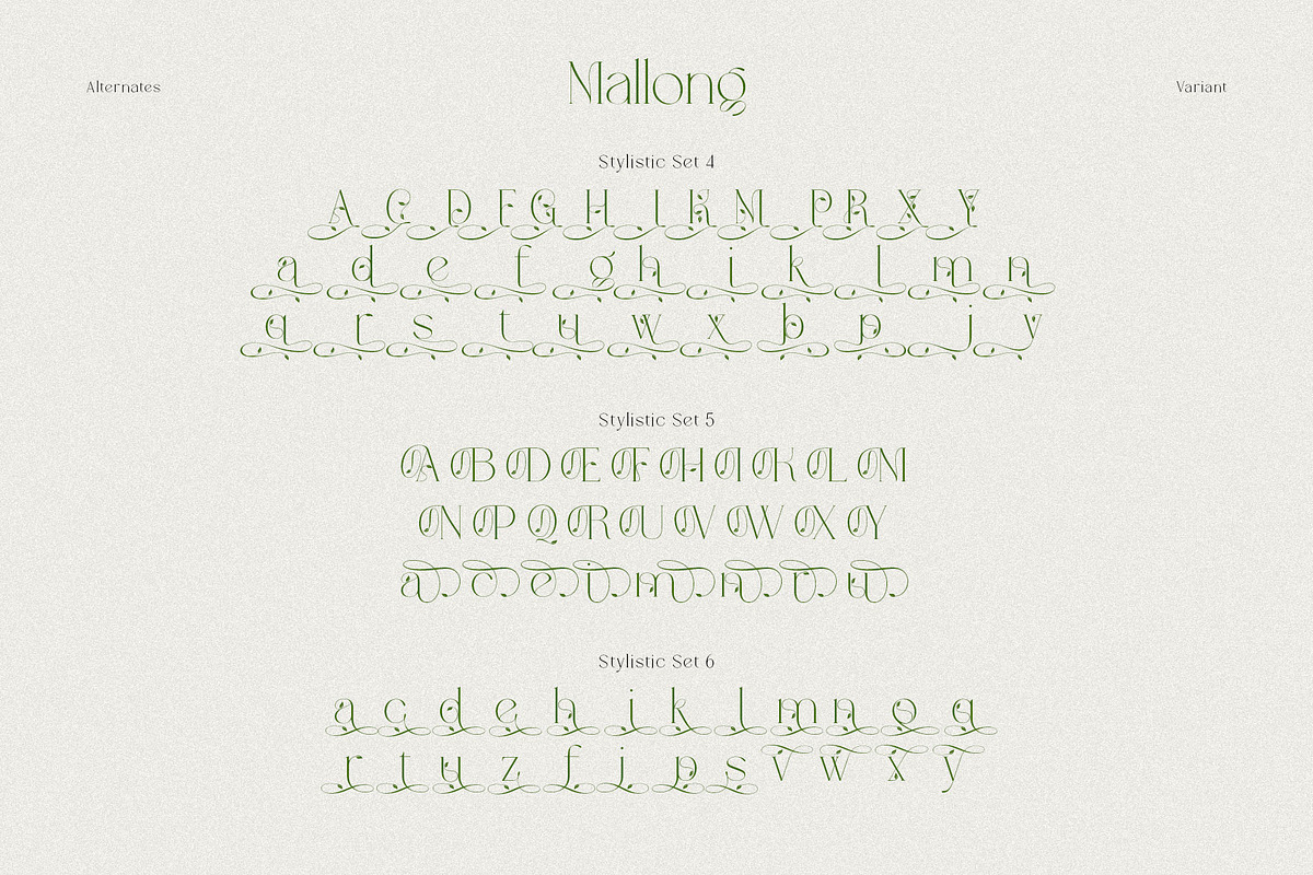 Mallong Typeface, a Serif Font by alit design (Photo 11 of 17)