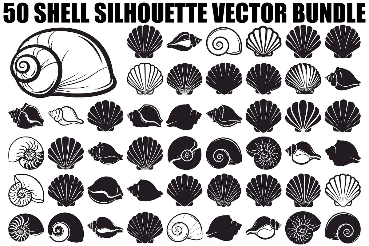 Shell Silhouette Vector Bundle, an Illustration by hafijul (Photo 1 of 48)