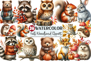 Watercolor Fall Woodland Clipart, an Illustration by Rose Art