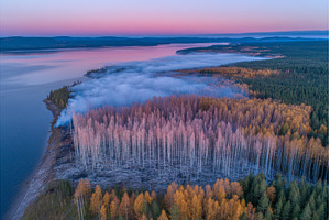 After wildfires, the landscape of, a Nature Photo by ZinetroN