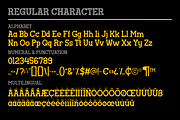 Nebah - Modern Family Typeface, a Serif Font by MaikoHatta (Thumbnail 3 of 8)