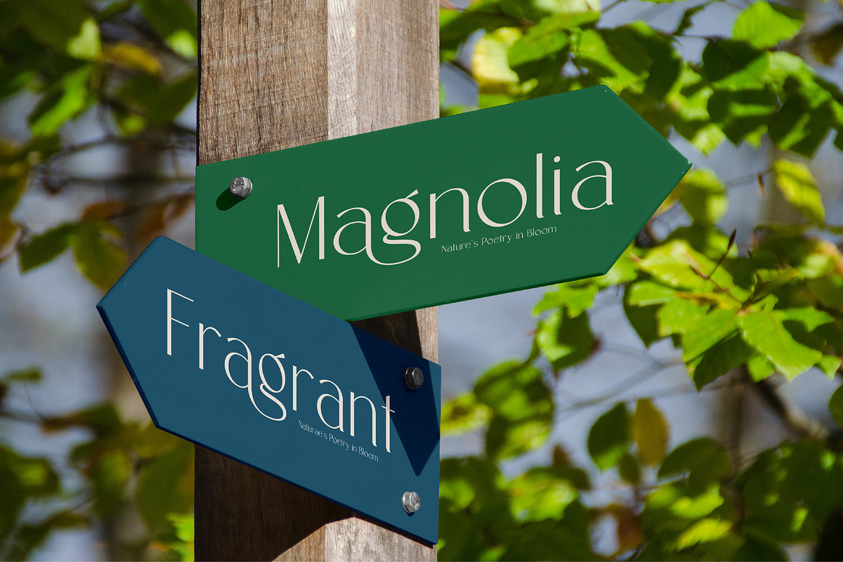 Mongre A Modern Sans Serif, a Sans Serif Font by AmorfaType (Photo 7 of 10)