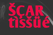 Arkevs Semi Serif Display Font, a Serif Font by Maulana Creative (Thumbnail 3 of 7)