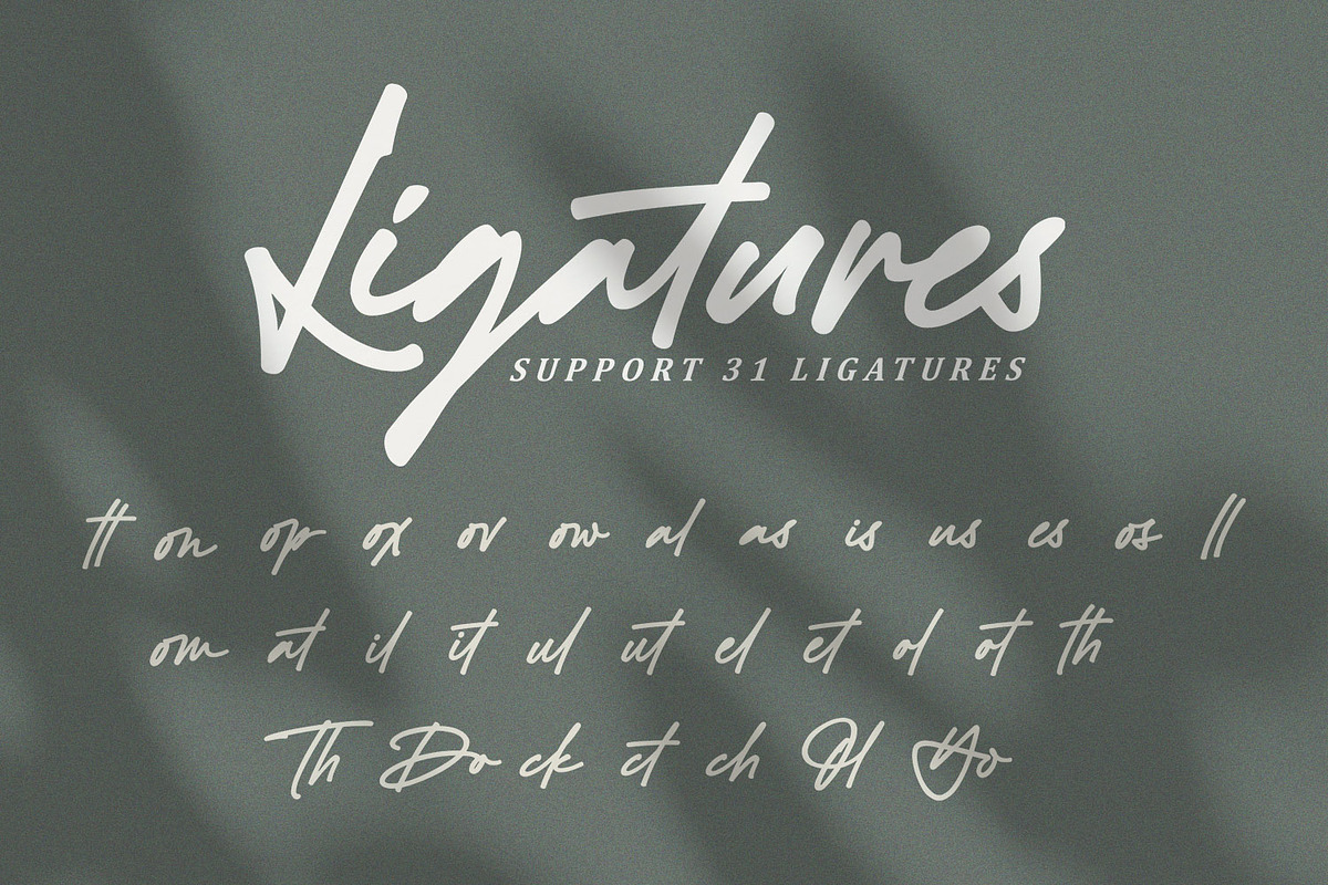 Black Signatures - Signature Font, a Script Font by Subectype Studio (Photo 9 of 11)