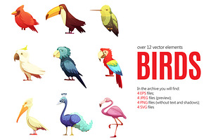 Birds Cartoon Set