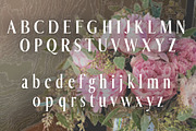 Wedding Display Font, a Font by biibee (Thumbnail 4 of 8)