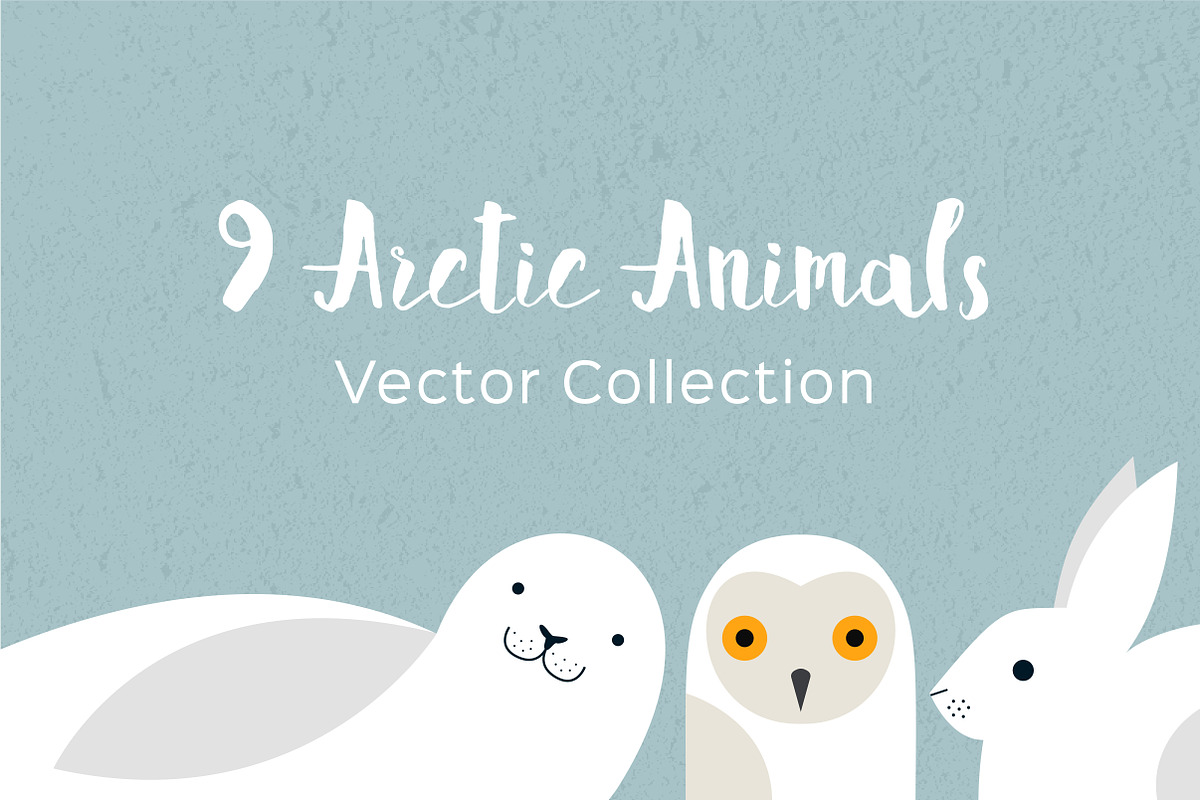 Arctic Animals Vector Collection, an Animal Illustration by Anna Isaeva (Photo 1 of 2)
