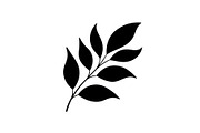 Botanical Leaf Silhouette Bundle, an Illustration by yasushie (Thumbnail 38 of 51)