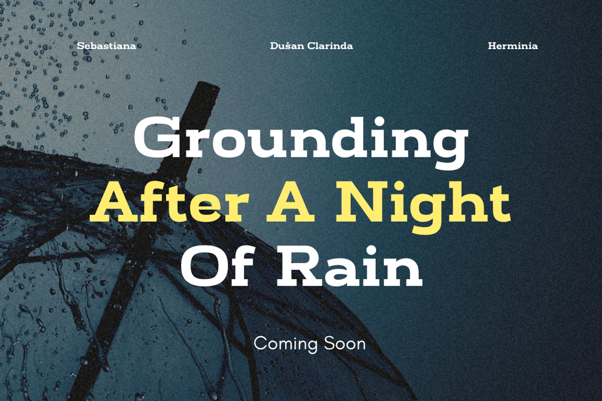 Bidamo - Slab Serif Font, a Slab Serif Font by Sronstudio (Photo 11 of 14)