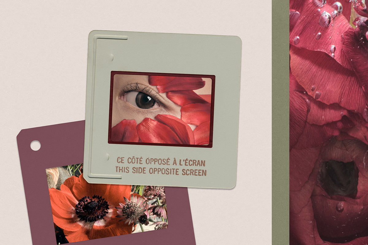 Slide Room - Photo Frames & Papers, an Object Graphic by alonahaidash (Photo 2 of 17)