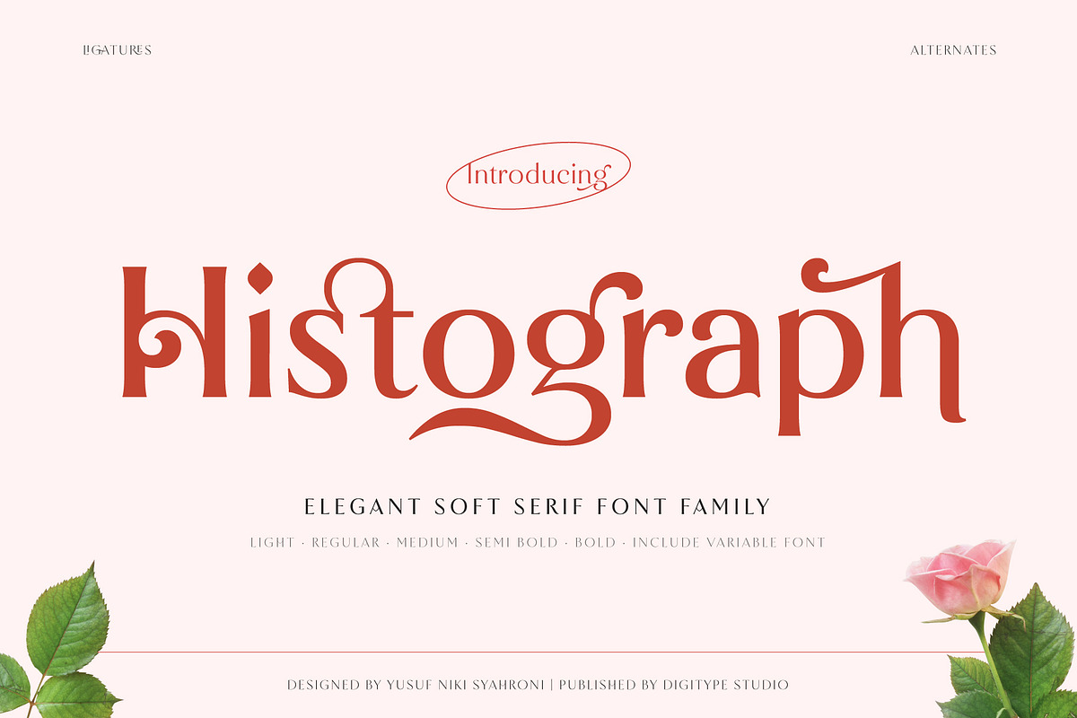 Histograph, a Font by Digitype Studio (Photo 1 of 12)