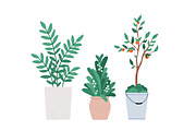 House plants, flowers in pots set, an Object Illustration by Good Studio (Thumbnail 4 of 5)