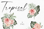 Siesta Tropcal set, an Object Illustration by Olga Koelsch (Thumbnail 6 of 9)
