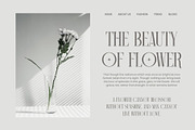Camiro Elegant Serif Font Typeface, a Serif Font by Graphicxell (Thumbnail 7 of 9)