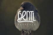 Gentl Typeface, a Graphic by Volkan Aydemir (Thumbnail 1 of 13)