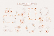 Icelandic Poppies watercolor flowers, an Illustration by Angele Kamp (Thumbnail 8 of 9)