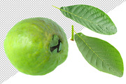 Green Pink fleshed Guava pieces, an Object Graphic by Fruits+Veggies (Thumbnail 10 of 11)