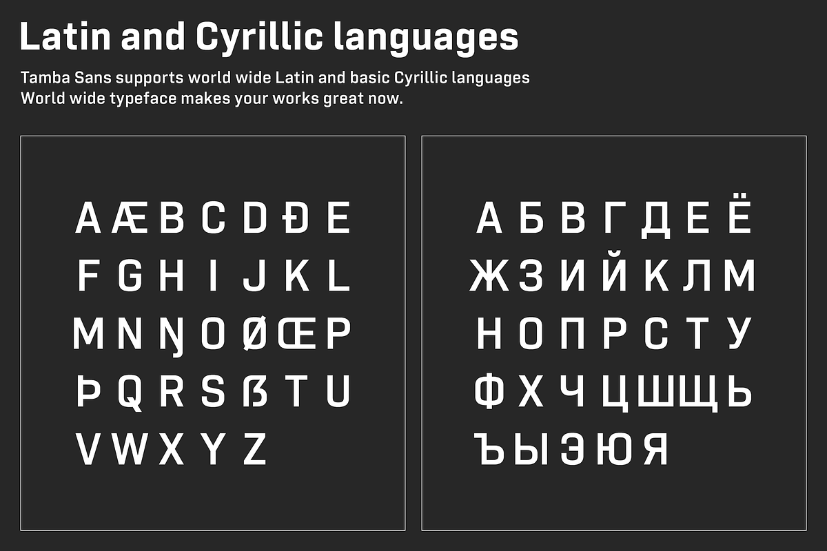 Tamba Sans preview 2