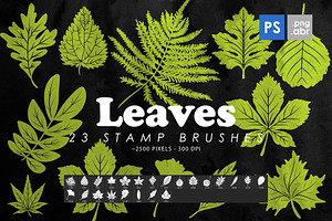 Leaves Photoshop Stamp Brushes