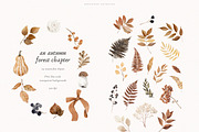 An Autumn Forest Chapter Collection, an Animal Illustration by PeDe Designs (Thumbnail 10 of 29)