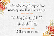 Nurila Script - A Bouncy Script Font, a Script Font by Siwox Studios (Thumbnail 8 of 9)