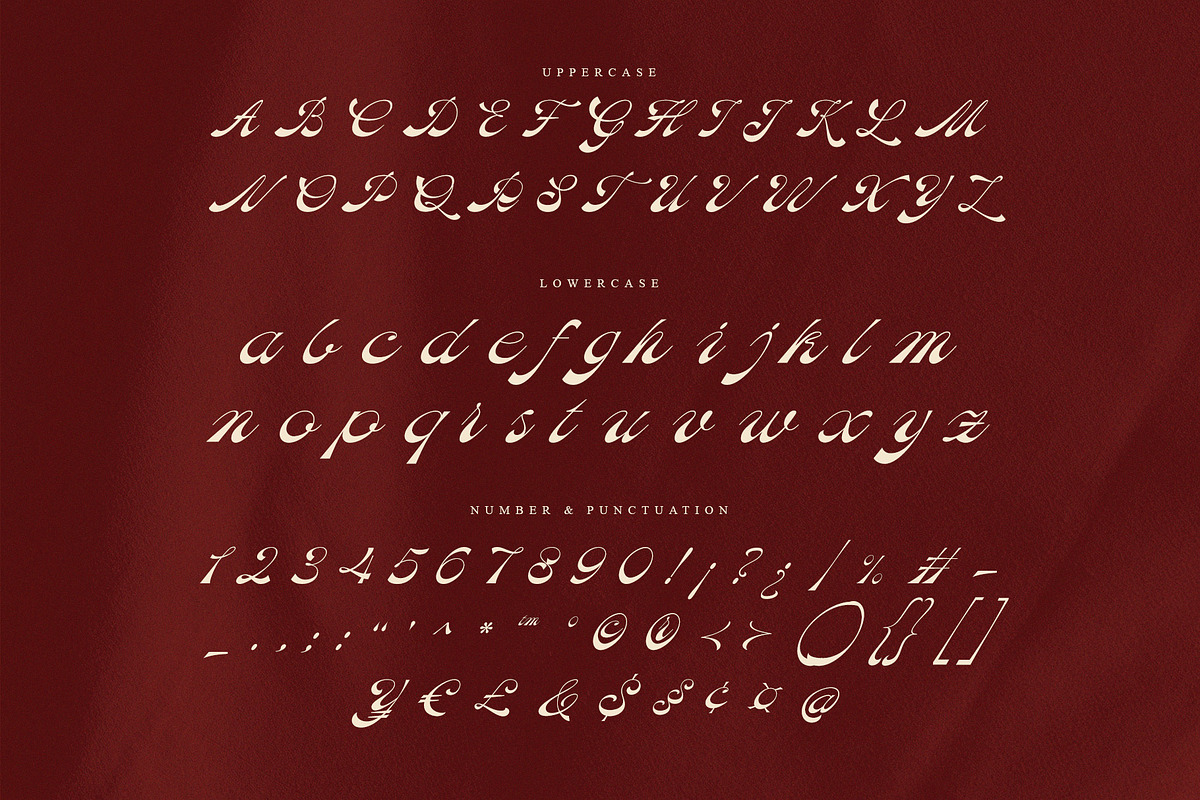 Mollies - Elegant Script Font, a Script Font by Almeera Std (Photo 10 of 10)