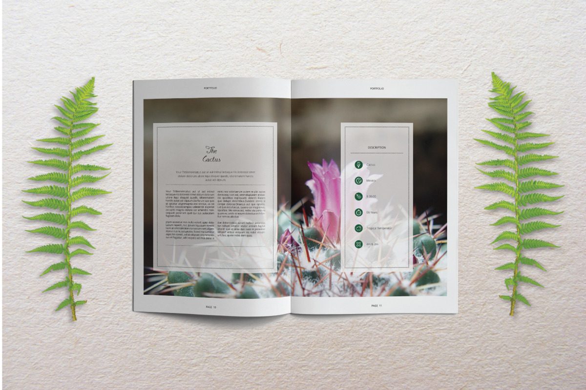 Portfolio Template Indesign Vol. 3, a Brochure Template by Tiempo co (Photo 4 of 10)