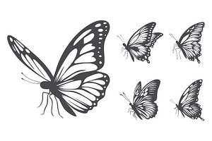 Butterfly, Vector Set.