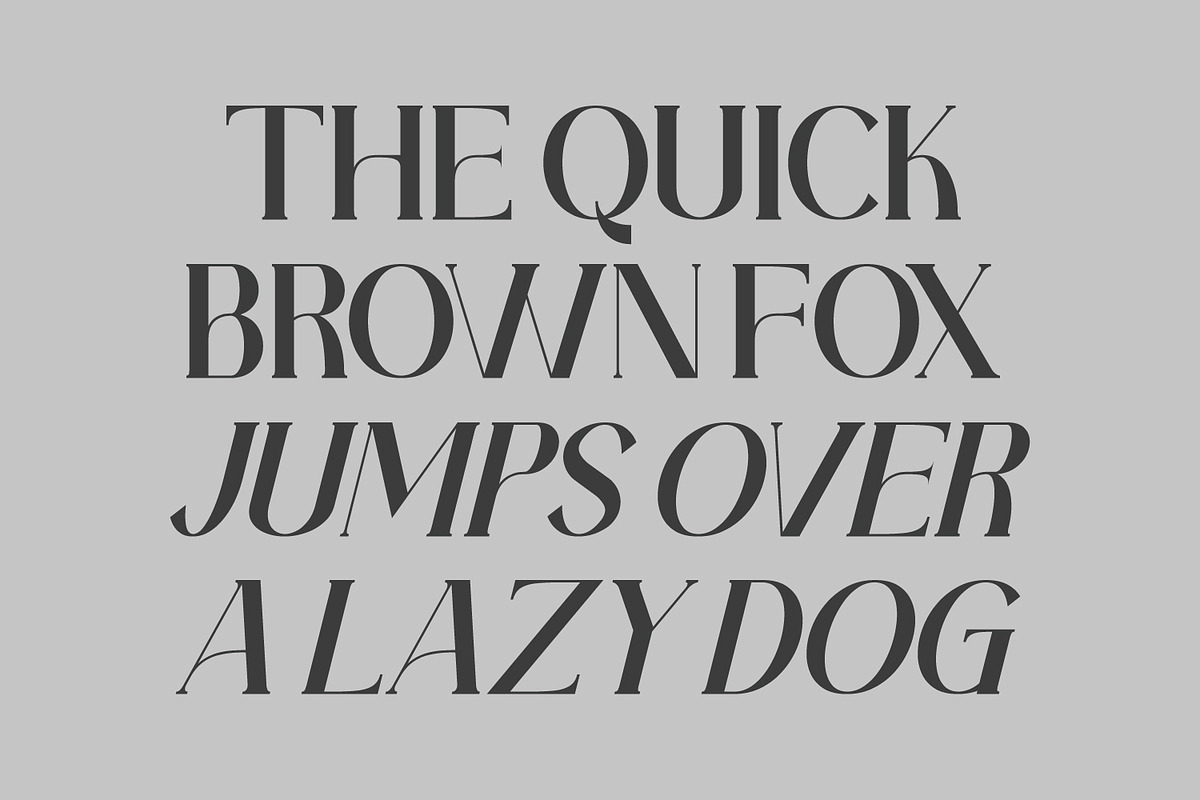 Vamoria- Serif Typeface Font, a Serif Font by Rishsketch (Photo 6 of 15)