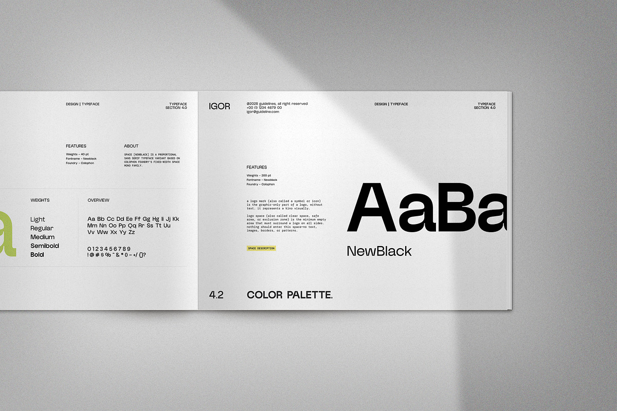 iGOR | Brand Guidelines, a Branding & Logo Template by creathrivestudio (Photo 2 of 11)
