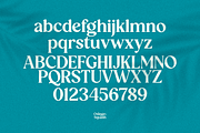 Orange Squash - Bold Vintage Serif, a Serif Font by Pixesia Studio (Thumbnail 13 of 15)