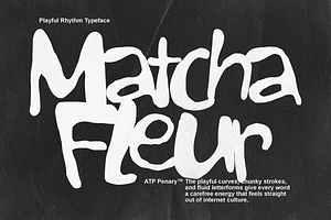 Penary - Bold Playful Font, a Handwritten Font by Typeparties