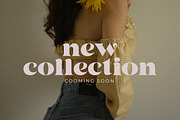 Siency Display, a Serif Font by InkwellTypeCo (Thumbnail 9 of 11)