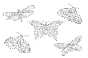 10 Meditative Insect Coloring Pages