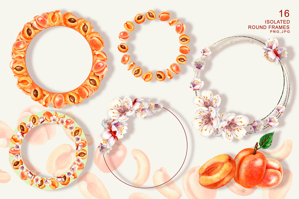 Apricot Fruits & Flowers, watercolor, a Food Illustration by EL_SUHOVA (Photo 7 of 17)