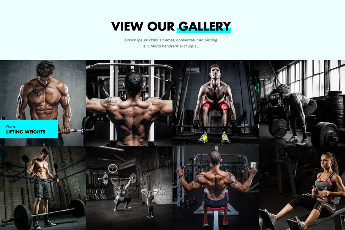 Gymex - Fitness Website UI Template, an UI Kit Template by Techeshta Solutions (Photo 5 of 5)