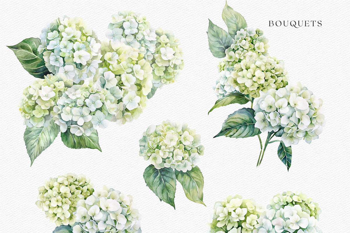Hydrangeas Dreaming - Watercolor, a Decorative Illustration by ThaismotaCreativeCo (Photo 3 of 9)