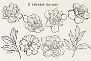 Peonies SVG line art PNG, EPS, PDF, a Decorative Illustration by DamriNa art (Thumbnail 2 of 5)
