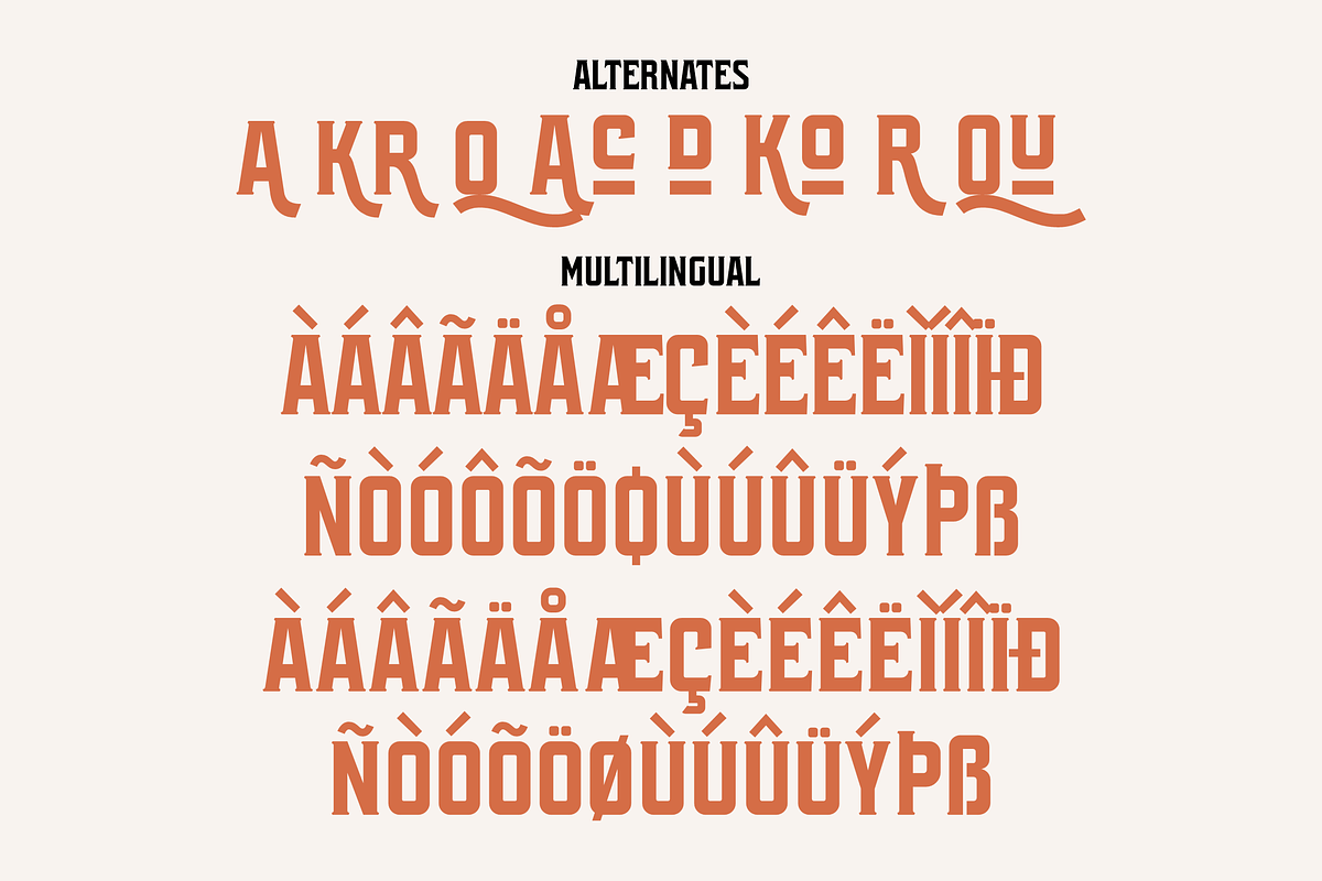 Quinor Display Typeface Font, a Sans Serif Font by Storytype Studio (Photo 14 of 15)