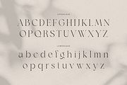 Agare - Branding Luxury Font, a Serif Font by Sensatype (Thumbnail 10 of 12)