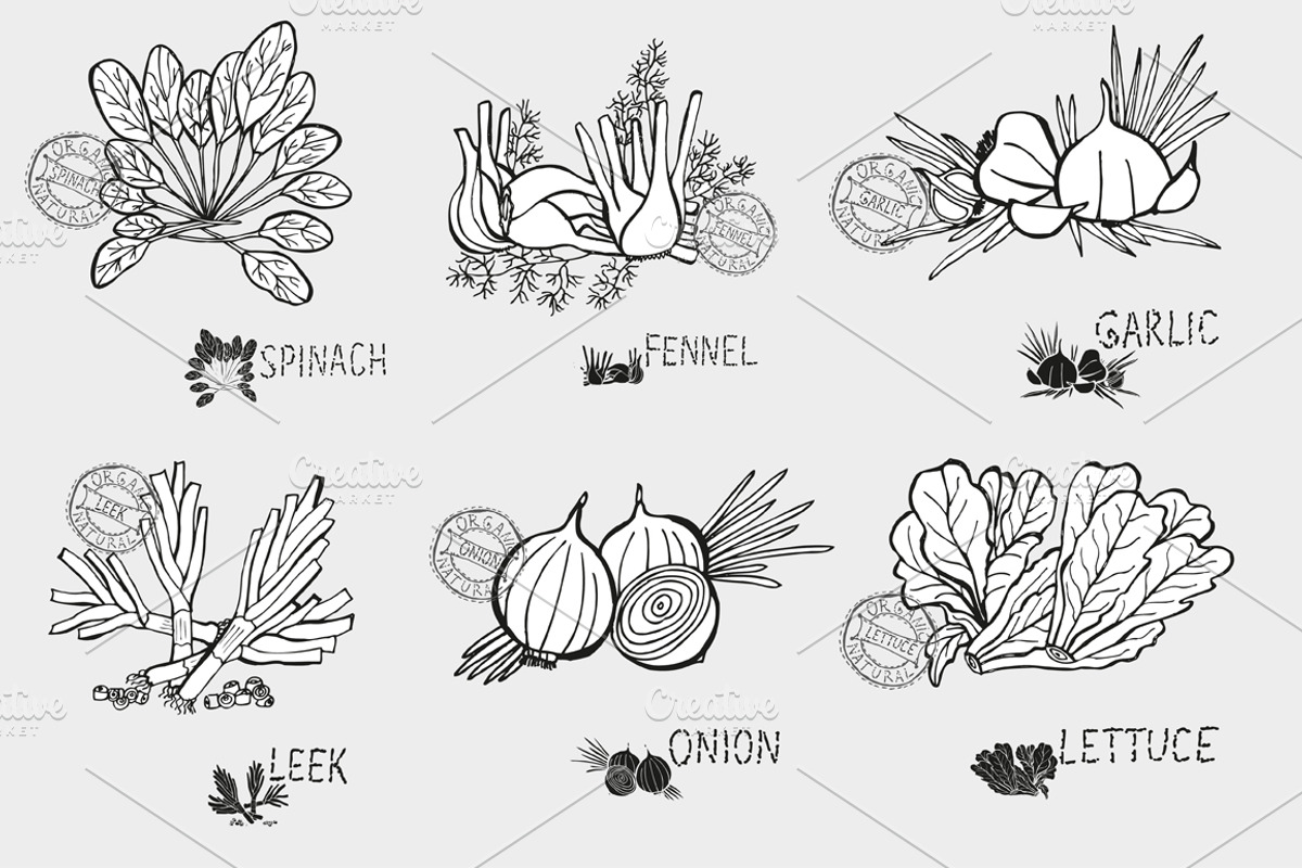 Vegetables Set(3), a Food Illustration by Sunset&Sea Design
