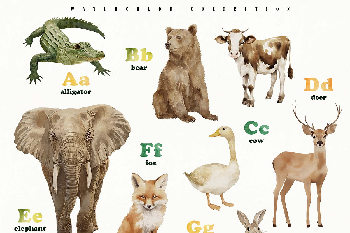 Animal Alphabet Flashcards, an Education Illustration by Sunshine Art (Photo 5 of 11)