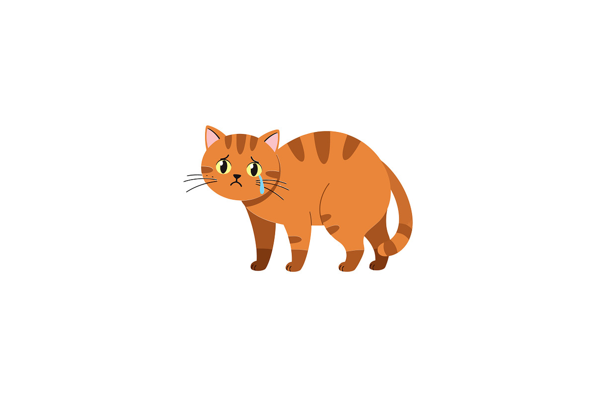 Orange tabby cat with a sad expressi, an Illustration by designvectx